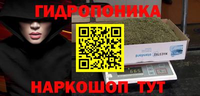 дживик Кунгур