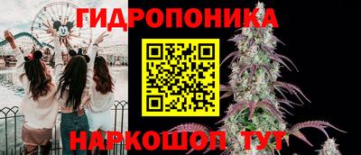 apvp Лесосибирск