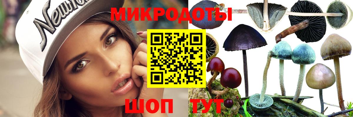 Ейск  Псилоцибиновые грибы Psilocybe  Вход с VPN 