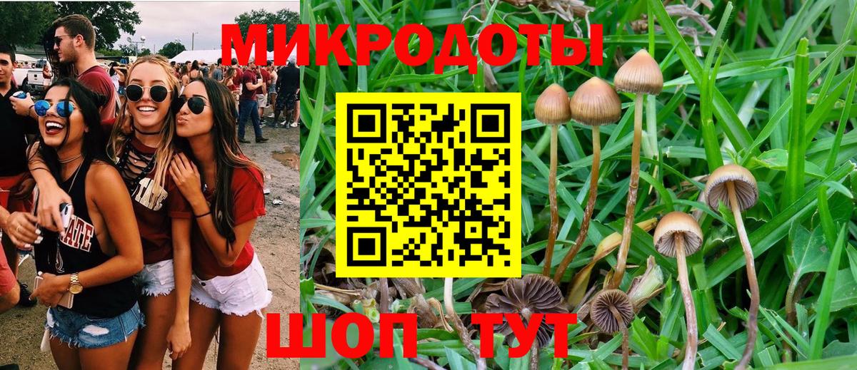 Галлюциногенные грибы прущие грибы Ейск